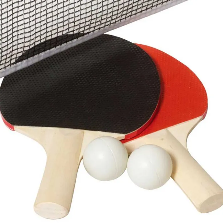 Bordtennisset Pingisnät med 2 st. racket och bollar