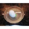 Dinosaurie Jumbo ägg växande dinosaurie 11 cm