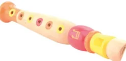Flöjt Musikinstrument Leksak