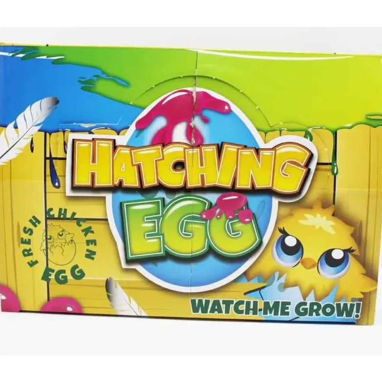 Ägg Kyckling Växande 6 cm