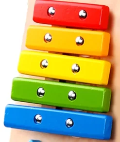 Gåvagn med musikinstrument Tooky Toy