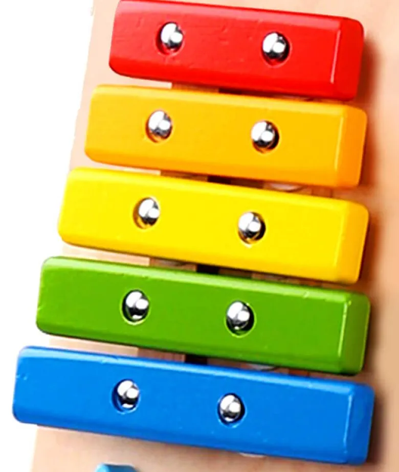 Gåvagn med musikinstrument Tooky Toy