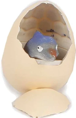 Havsdjur ägg växande djur 7 cm