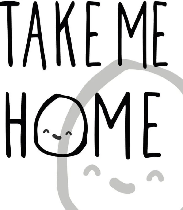 Leksakskatt Kattunge Med Ljud Take Me Home