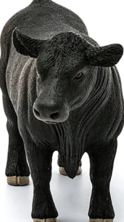 Schleich Aberdeen Angus Tjur 13879