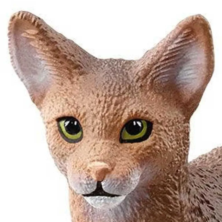 Schleich Abessinier Katt 13964