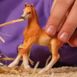 Schleich Arabhäst Föl, Arab Foal 13984