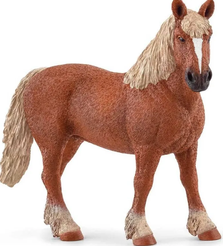 Schleich Belgiskt avelssto häst 13941