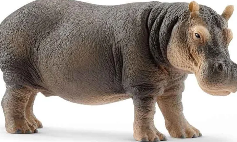 Schleich Flodhäst Leksaksdjur 14814