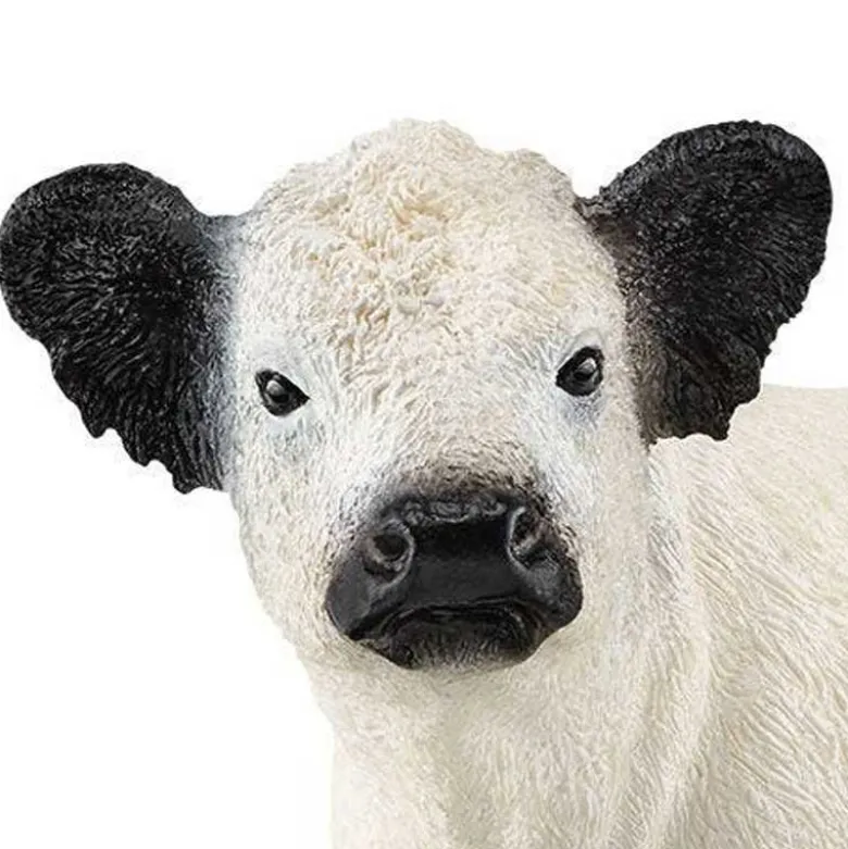 Schleich Galloway Ko 13960