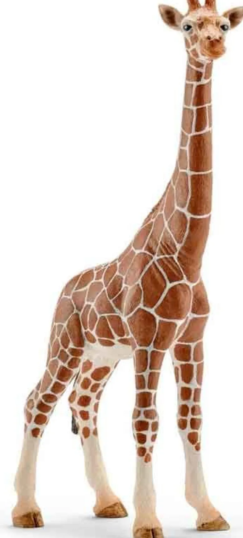 Schleich Giraff Hona 14750
