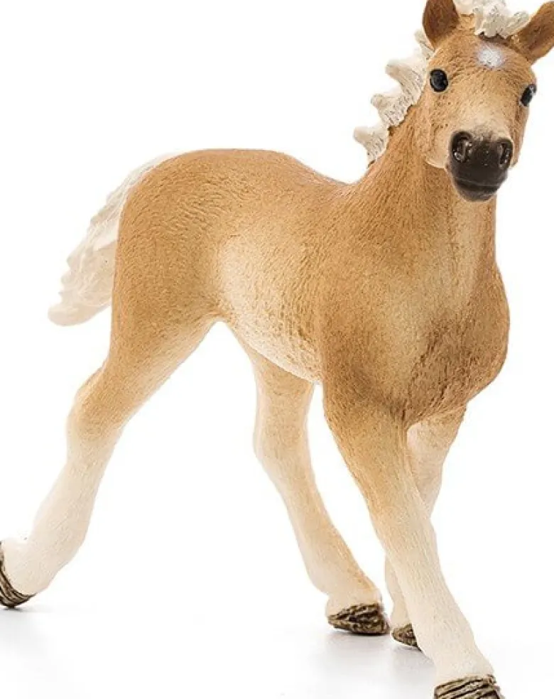 Schleich Haflinger Föl 13814