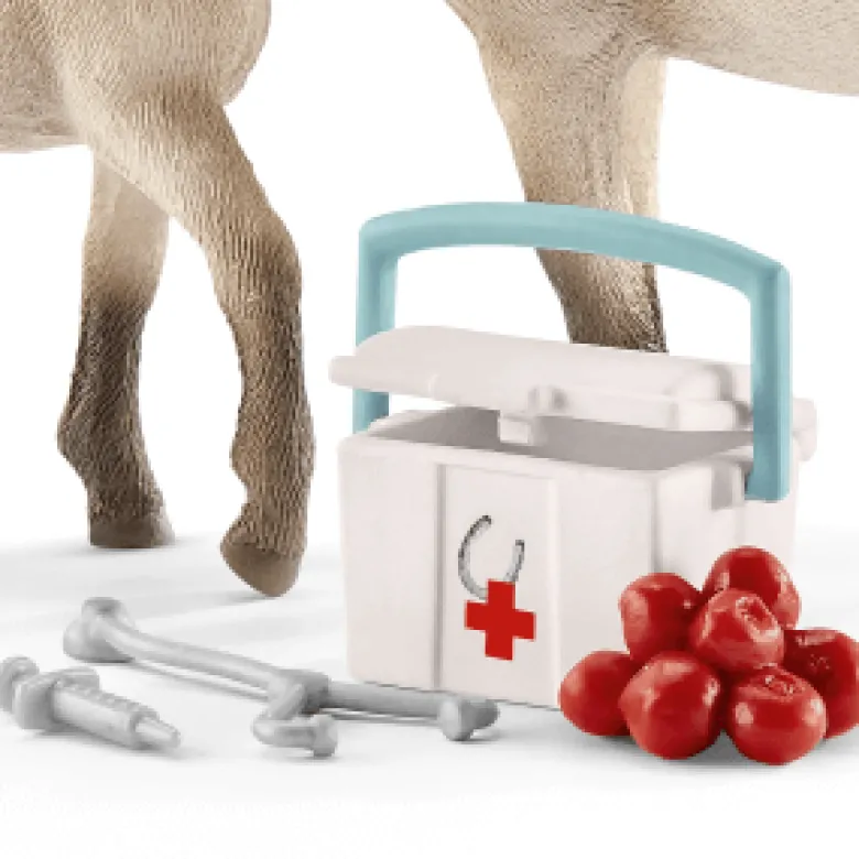 Schleich Hannahs Förstahjälpensats Islandshästar 42430