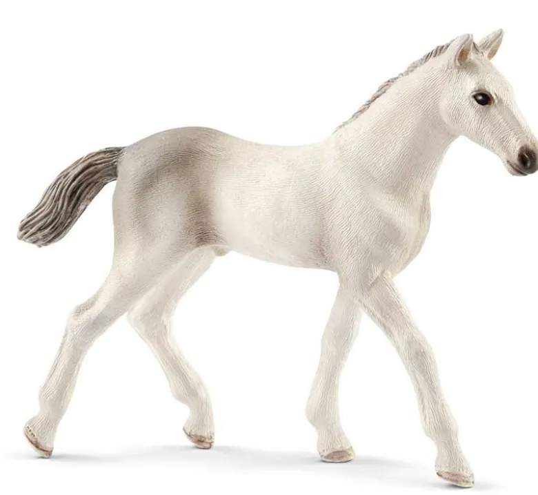 Schleich Holsteiner Föl 13860
