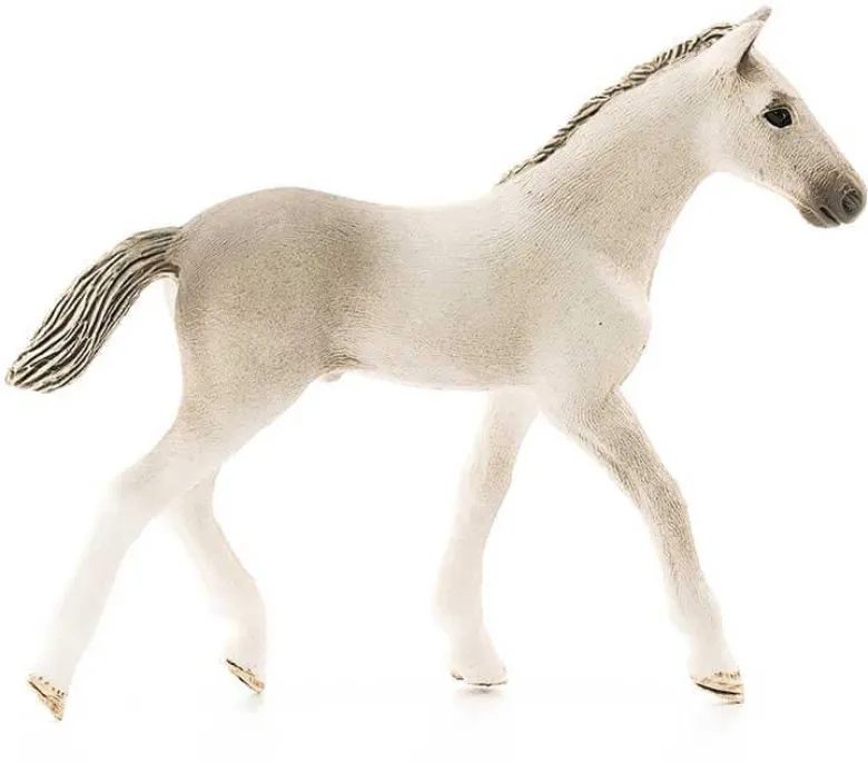 Schleich Holsteiner Föl 13860