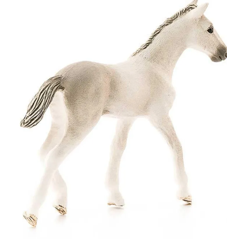 Schleich Holsteiner Föl 13860