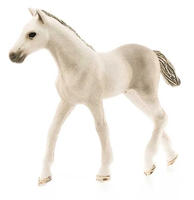 Schleich Holsteiner Föl 13860