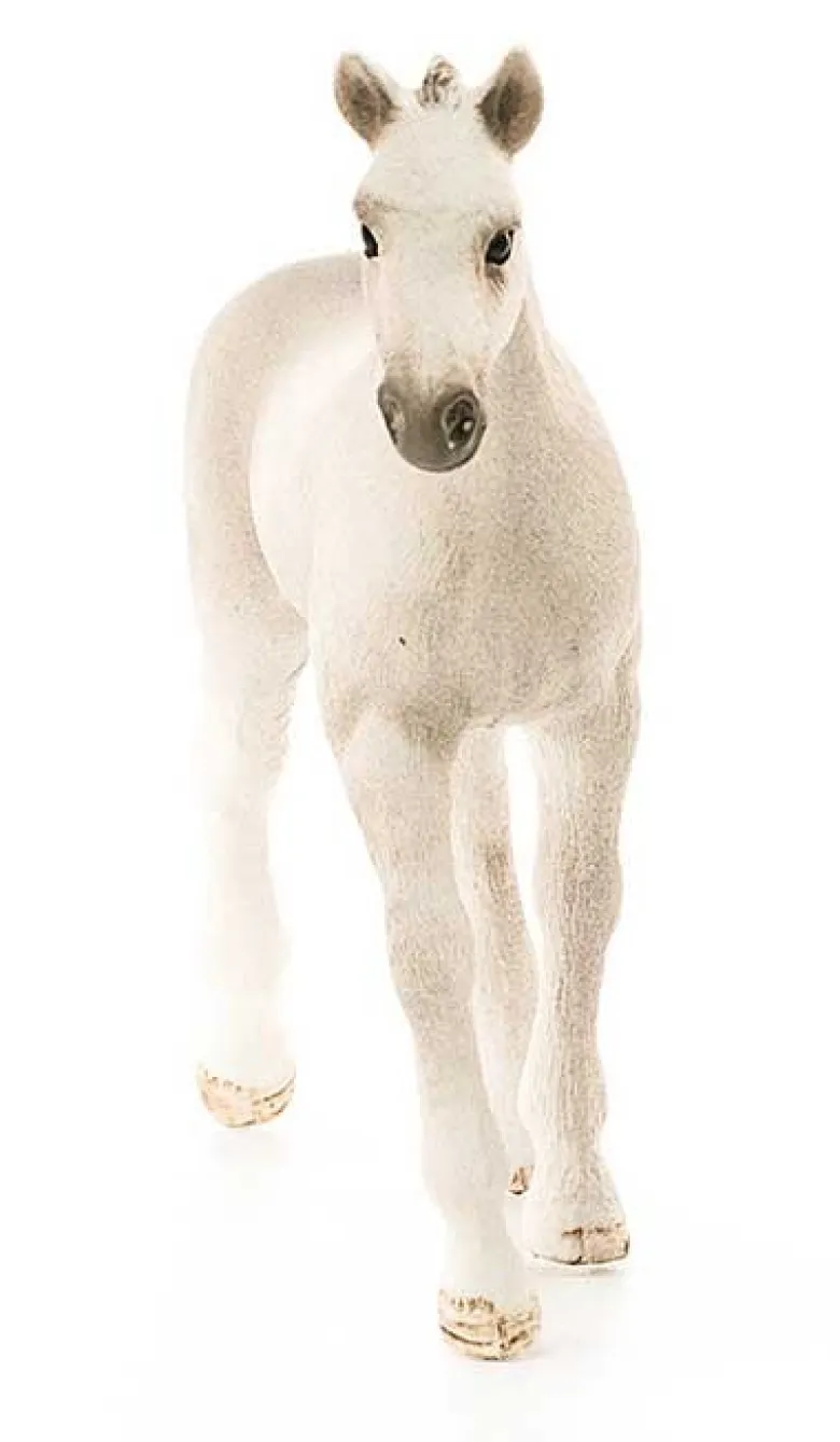 Schleich Holsteiner Föl 13860