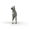 Schleich Knabstrupper Valack 14916