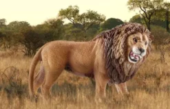 Schleich Lejon Rytande 14726
