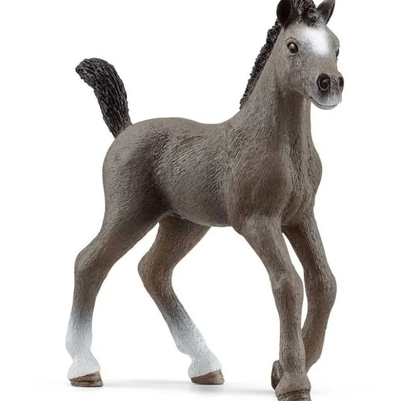 Schleich Selle Français Föl 13957