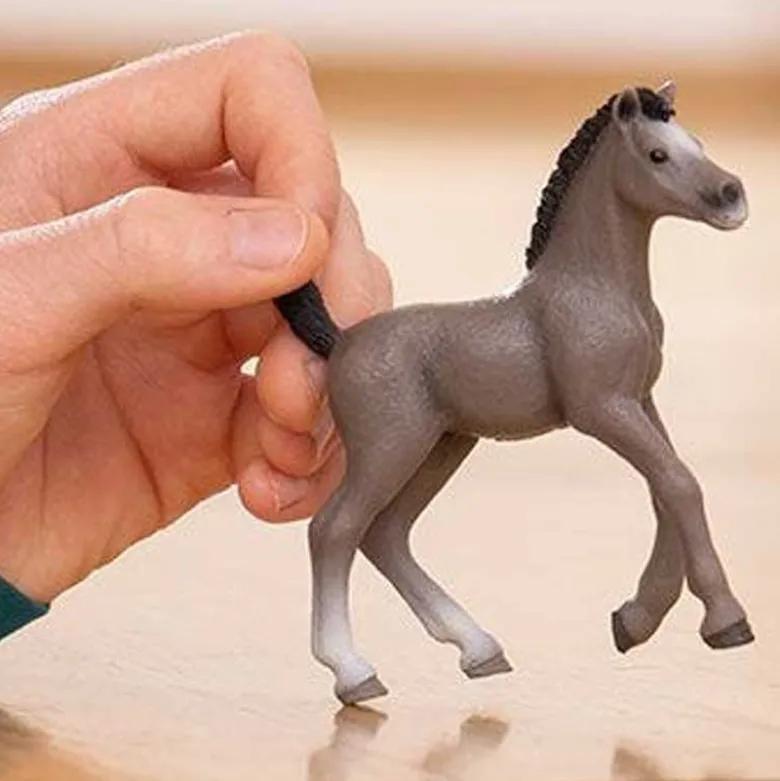 Schleich Selle Français Föl 13957
