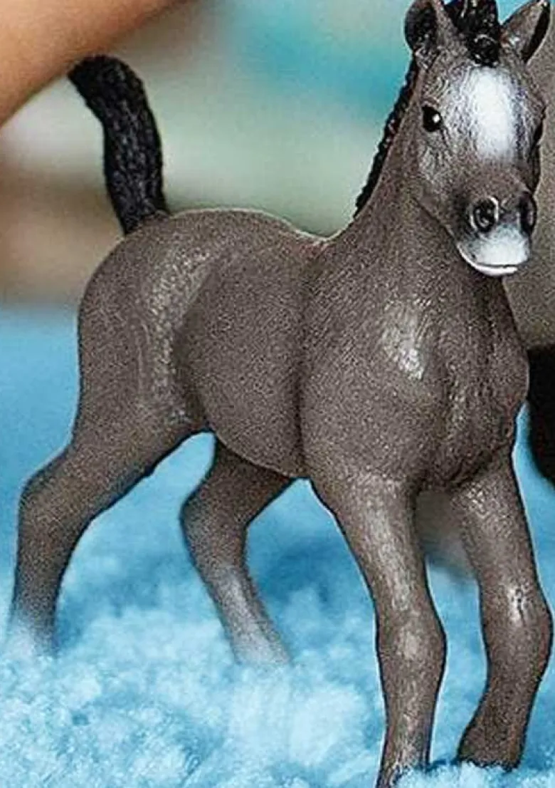 Schleich Selle Français Föl 13957