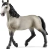 Schleich Selle Français Sto 13955