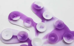 Squido Popit Strip Suction 22 cm