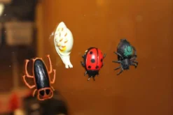 4 st. Insekter Krypande Fönsterklättrande