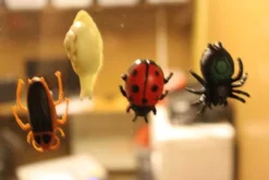 4 st. Insekter Krypande Fönsterklättrande