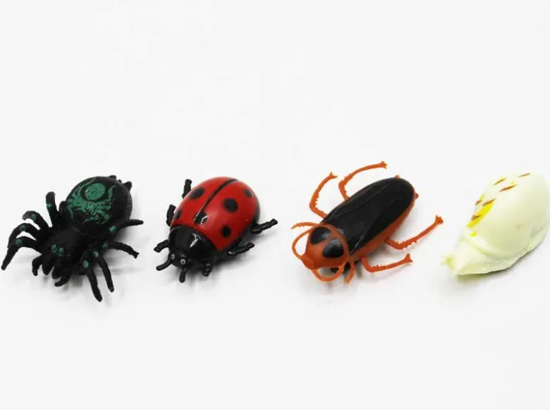 4 st. Insekter Krypande Fönsterklättrande